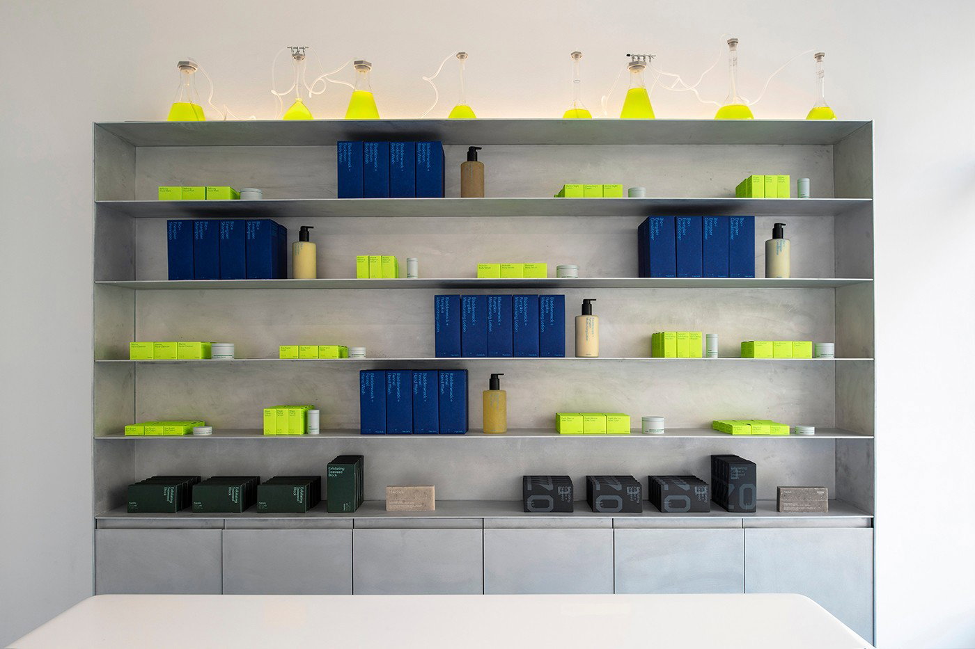 Haeckels store