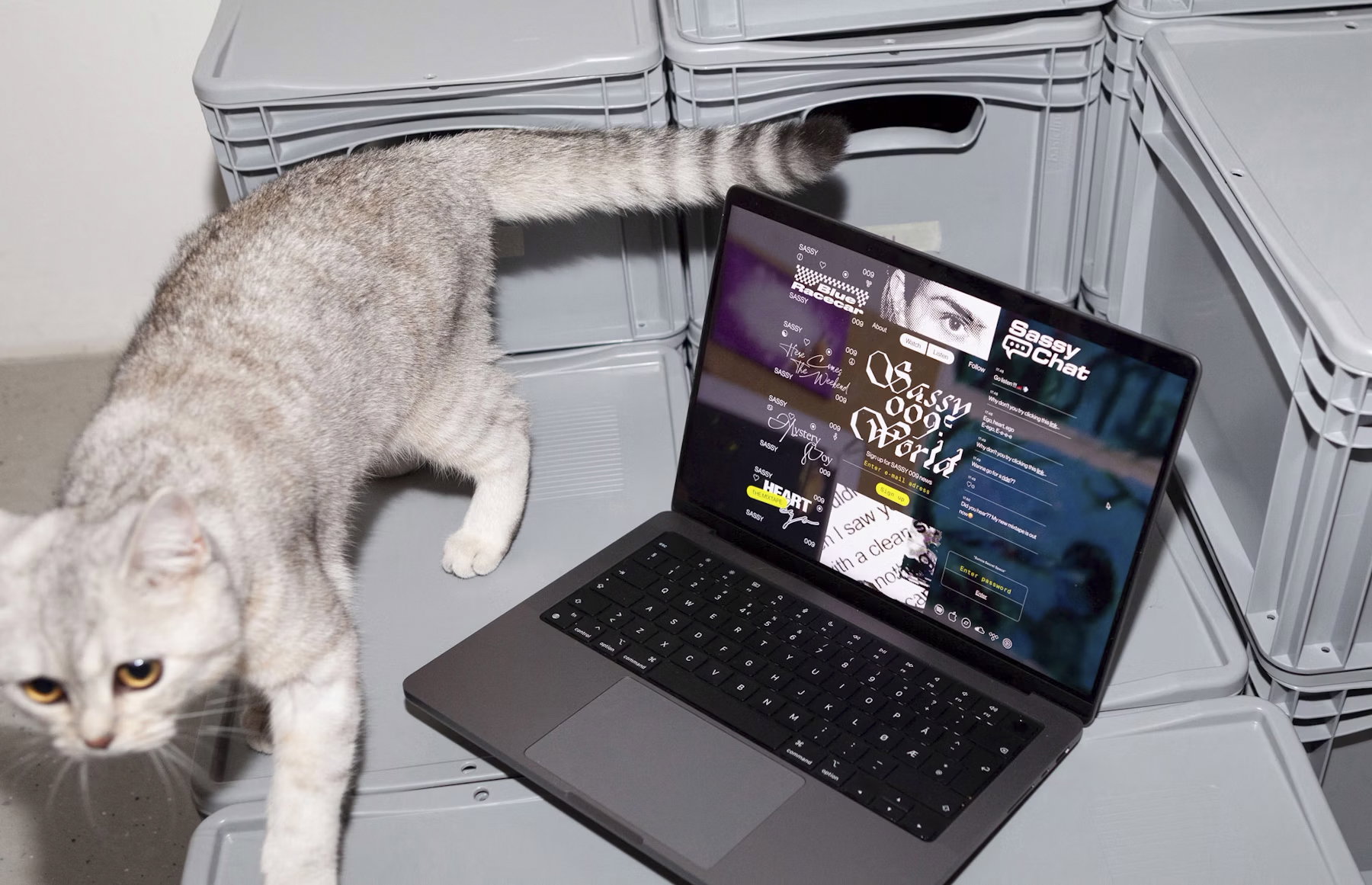 Https s3 eu west 1 amazonaws com grafill files images visuelt 2022 Digital design main 03 08 5125 24280 Sassyworld w cat 1
