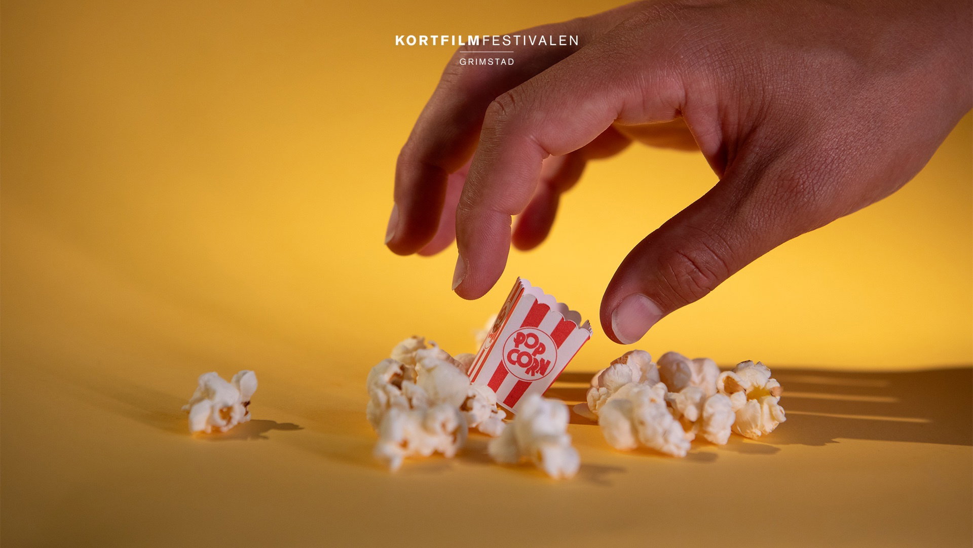 Kortfilmfestival 2