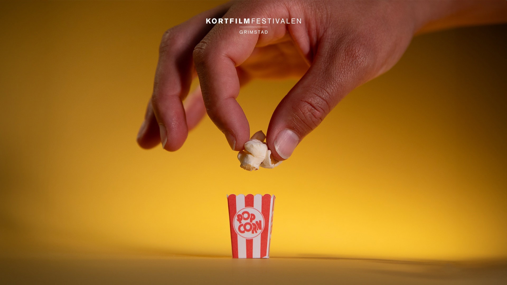 Kortfilmfestival 3