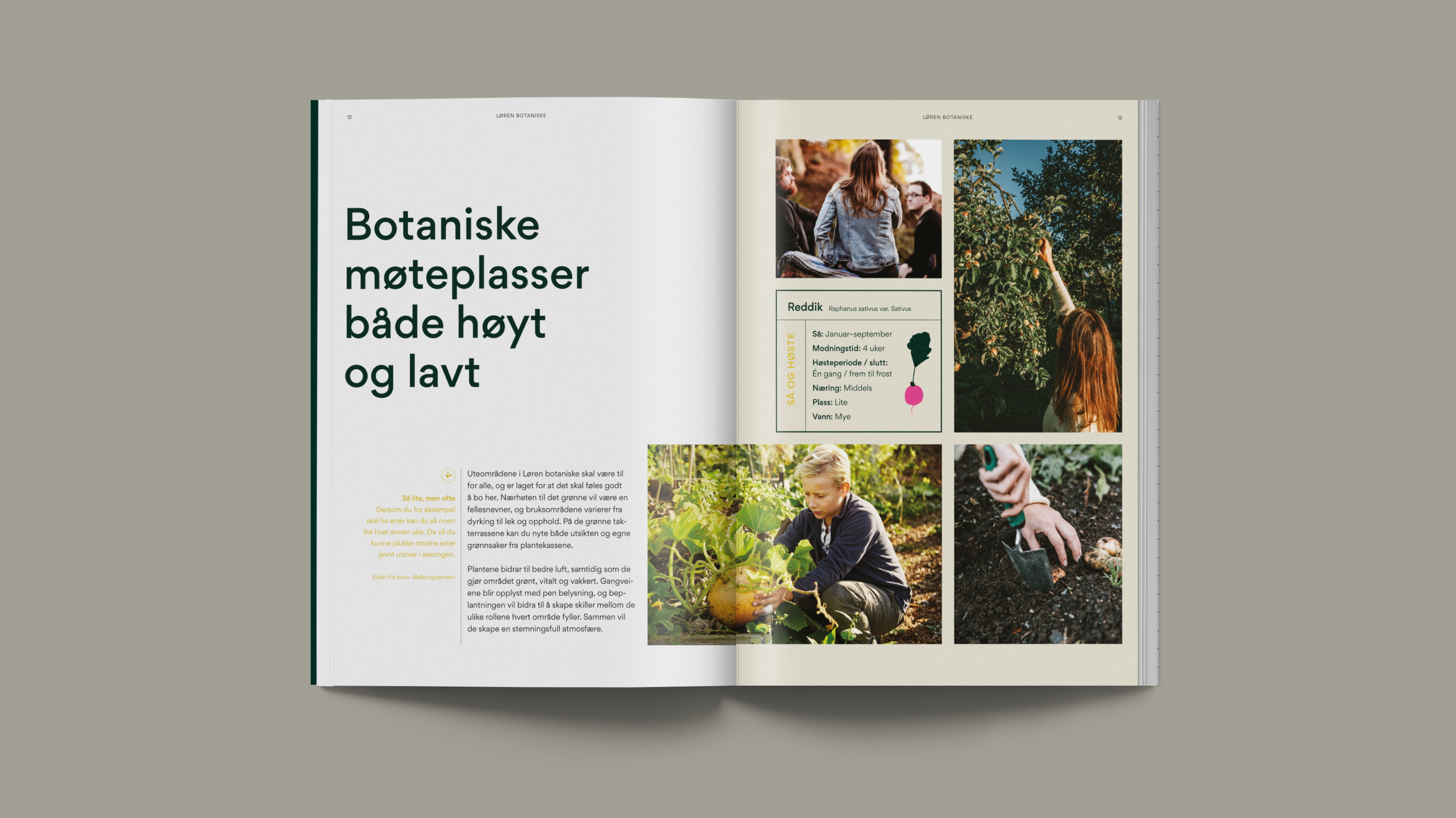 Løren botaniske12