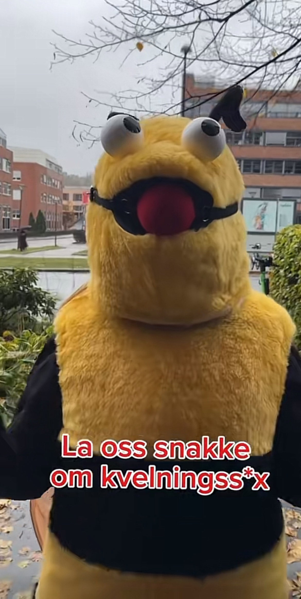 Nederste bilde