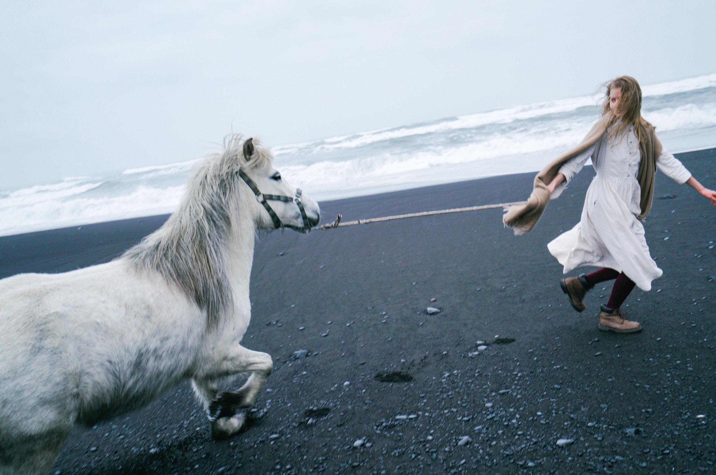 Romantic teenage girl leading horse on black sand shore 4344317