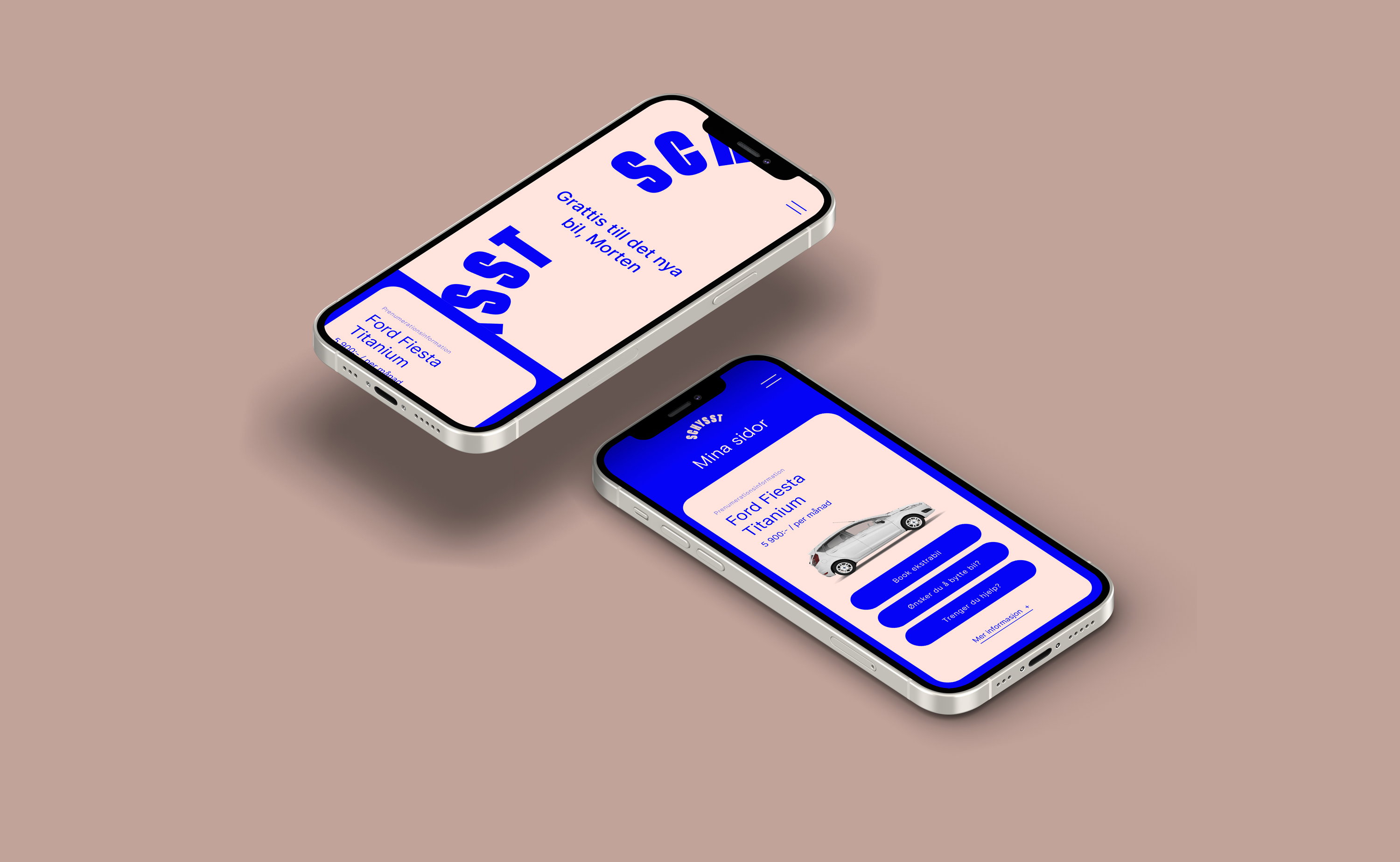 Schysst identity web documentation 10