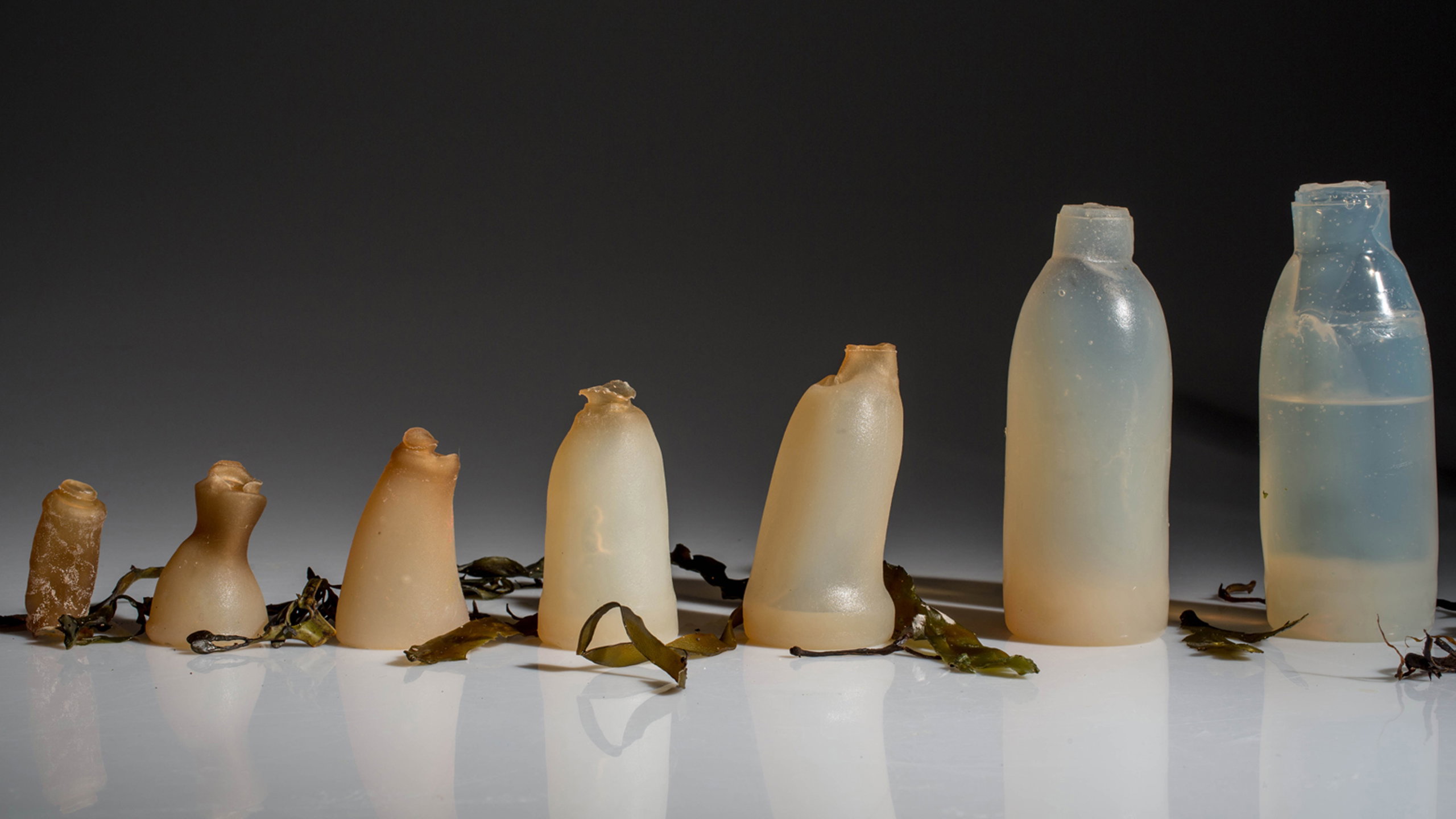 Seaweed bottle