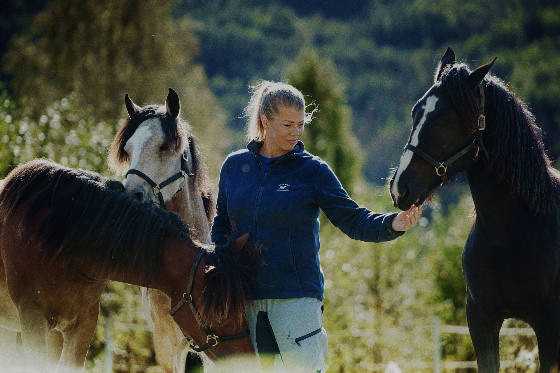 Travsport trav hest rikstoto dyrevelferd hestevelferd Heidi Moen