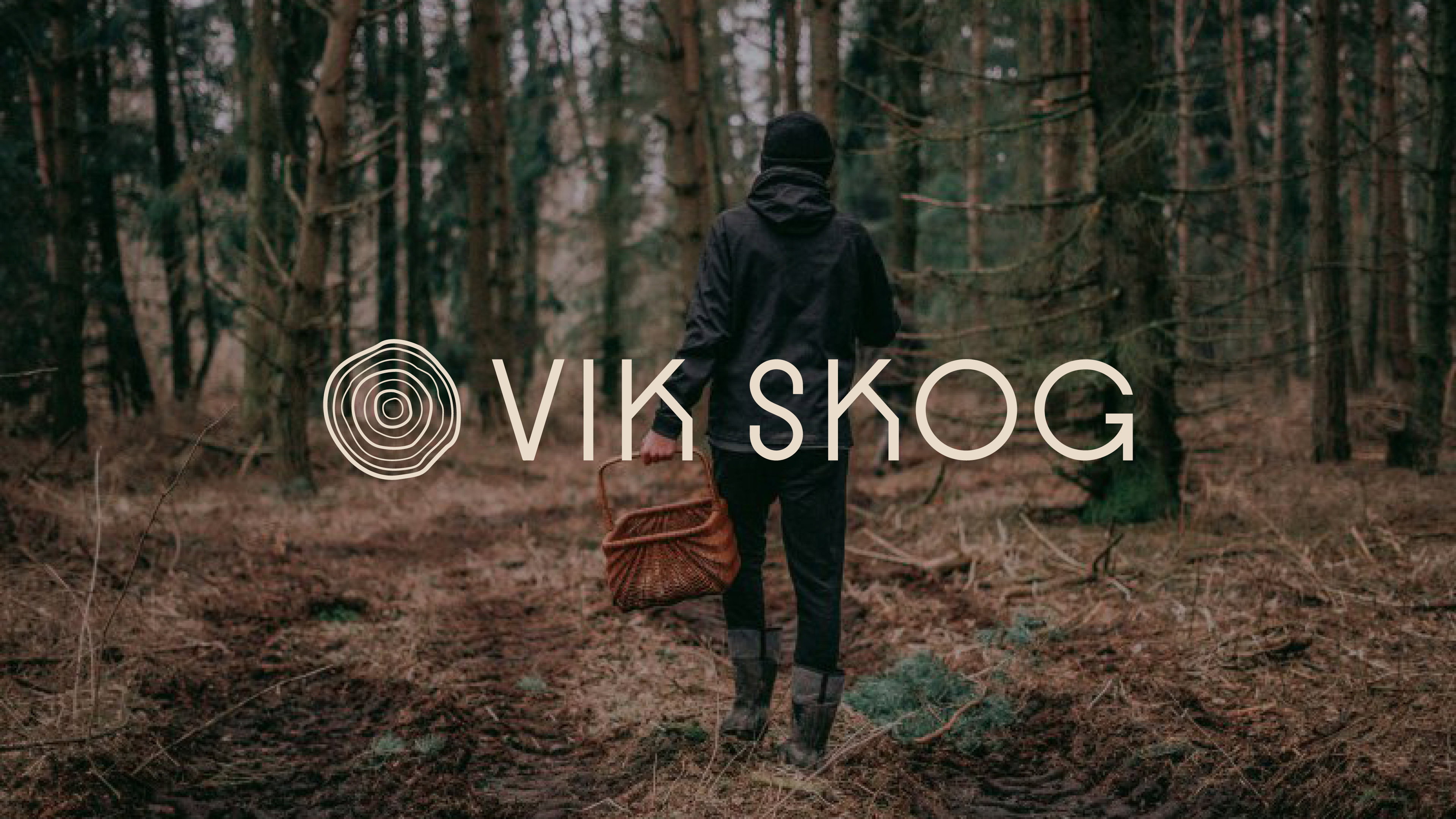 Vikskog 3840x21602