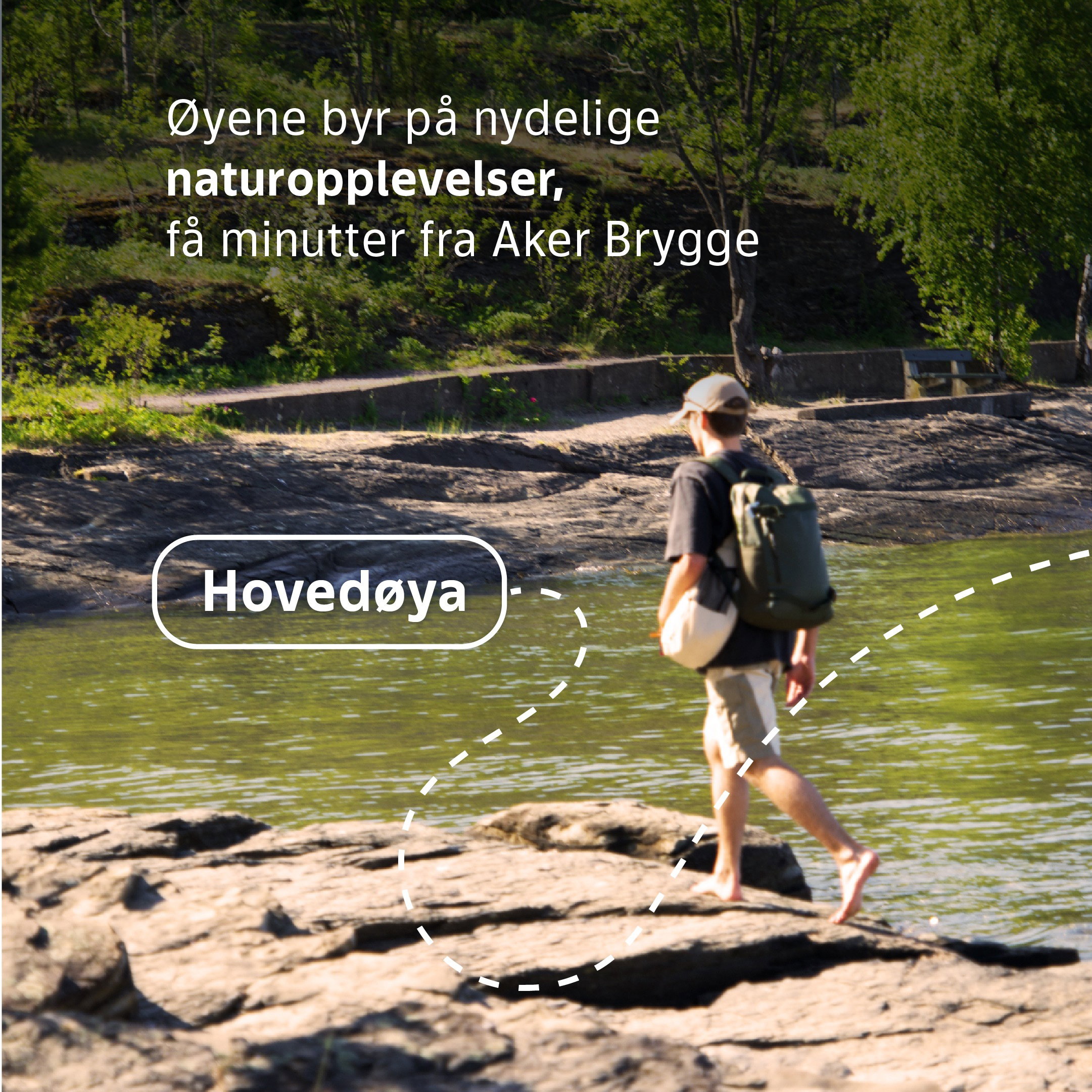Øy 2