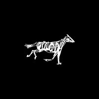 Hest agentur logo