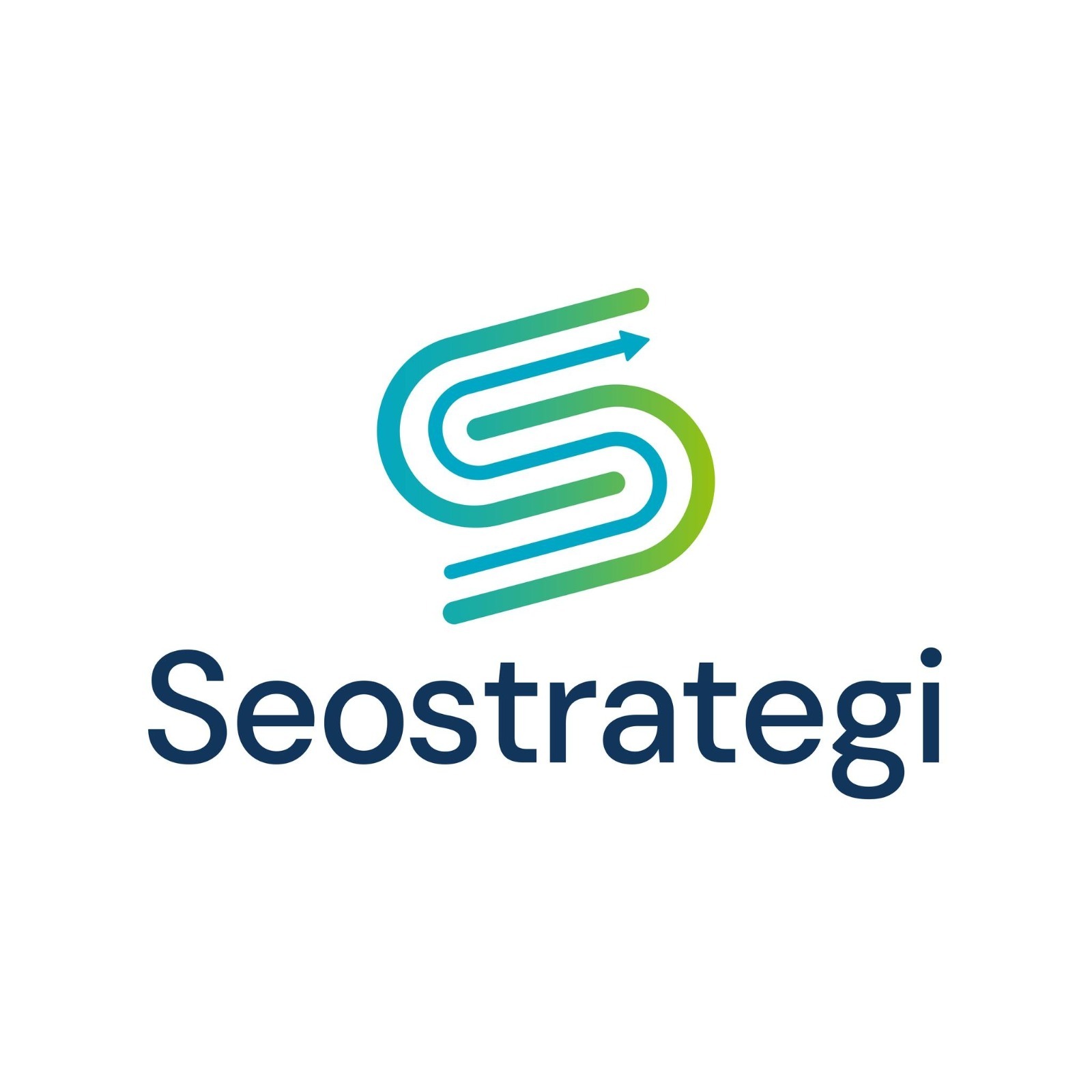 SEO 2025 11 18 111334 rfyz